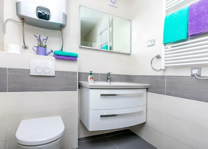 Hrgovic 公寓 罗戈兹尼察